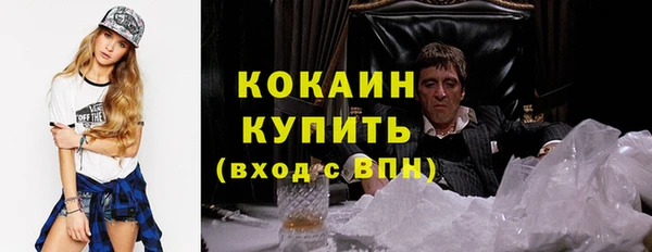 apvp Алексин