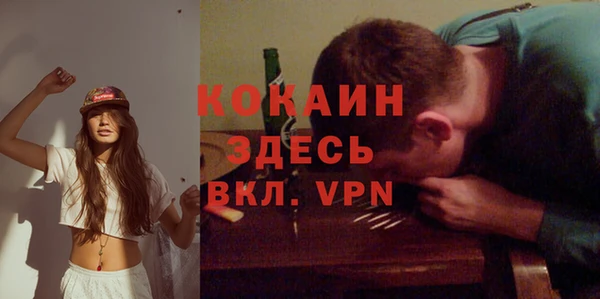 apvp Алексин
