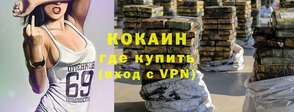 apvp Алексин