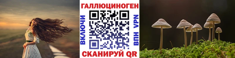 Галлюциногенные грибы прущие грибы  где можно купить наркотик  Беслан 